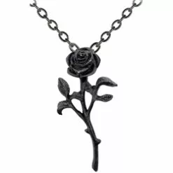 Black Rose In Bloom Necklace Pewter Alchemy P695