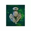 Scottish Thistle Brooch In Pewter106.0959 -TheHolidayBarn Shop 21 2668 1