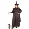 Classic Witch Plus Adult 38-19328 -TheHolidayBarn Shop 38 19328