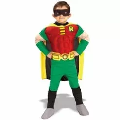 Teen Titans Robin Muscle Chest Deluxe Toddler/Child Costume 38-21076
