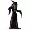 Sorceress Adult Costume 38-4805 -TheHolidayBarn Shop 38 4805