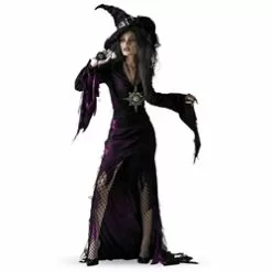 Sorceress Adult Costume 38-4805