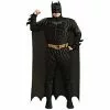 Plus Size Deluxe Muscle Chest Batman Costume CU17497 -TheHolidayBarn Shop CU17497