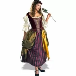 Renaissance Maiden Costume CU56129