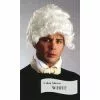 Barrister Wig HW00246 2 Barrister Wig HW00246 -TheHolidayBarn Shop HW00246