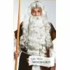 Father Time Wig HW00328 -TheHolidayBarn Shop HW00328